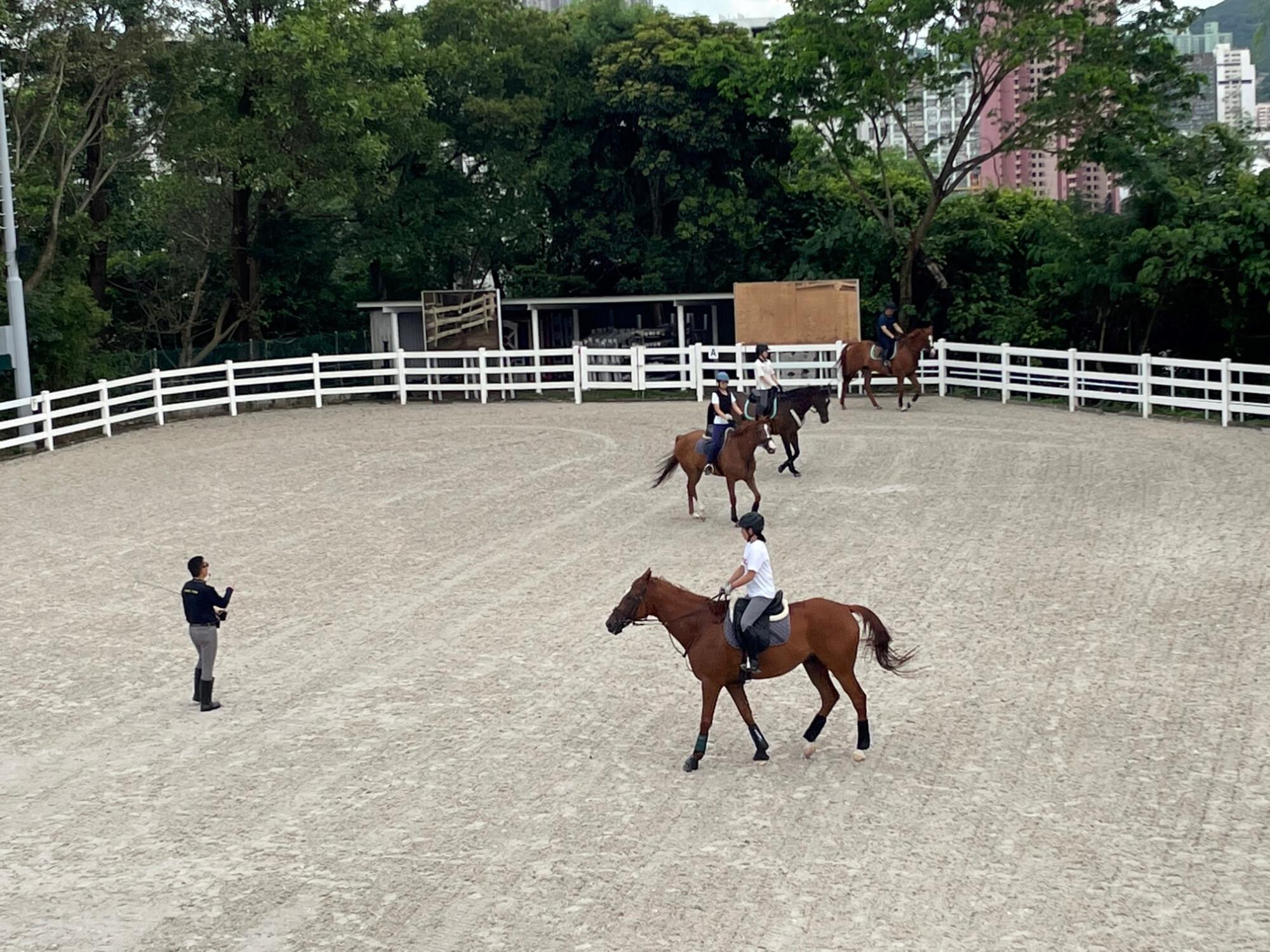 馬術教練在戶外圍欄沙圈內指導小組騎馬課程，多名學員正在練習慢步與基礎控馬技巧。